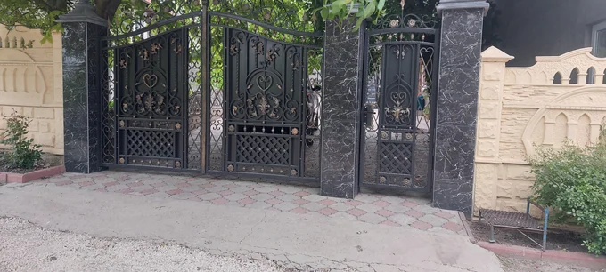 Poartă cu portiță și desen vegetal simetric P-007 — GNV METAL
